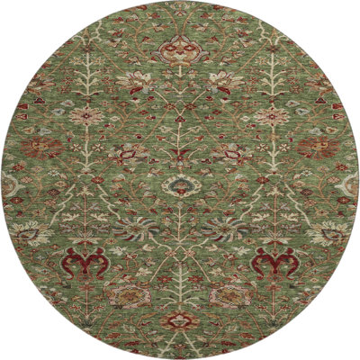 Premium Machine Washable Dahl AMF1085 Floral Rug