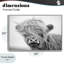 Giclée encadrée de bovins Easy Breezy, design par Tina LeCour-382782299-382782298