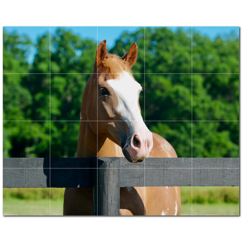 Photo de ferme 6 x 6
