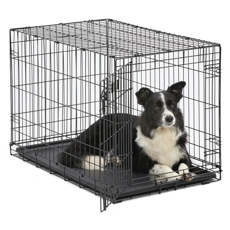 Intermediate Black Rolling Single Door Dog Crate with Divider Panel