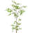 Bonsai Tree Drop-In