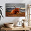 Brampt Highland Cow sentant le vent-108908014