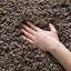 Tapis Assar-23562936-124455230