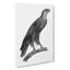 Greater Spotted Eagle - Wrapped Canvas-55315679
