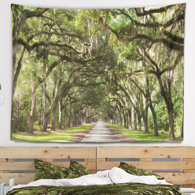 Photographie live oak tunnel tapisserie, H 32 po x l 39 po