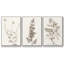 Neutral Botanical Study IV 3 pièces-97711580-97711579