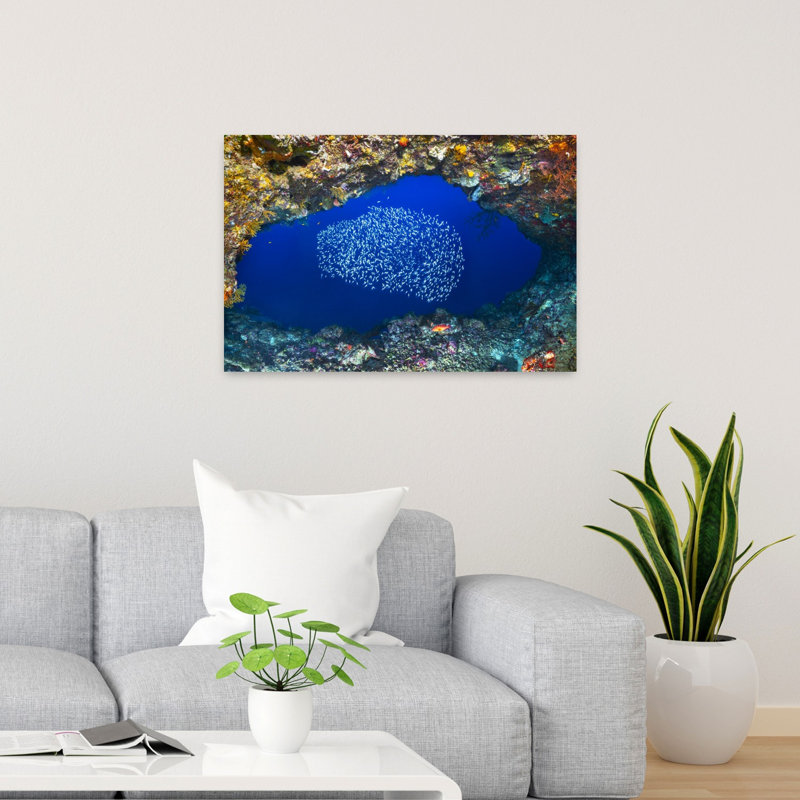 School Of Fish Grotto Colorful Vibrant Contemporary Fish Nature Ocean Wall Art Print 1 Piece Wrapped Canvas Wall Art