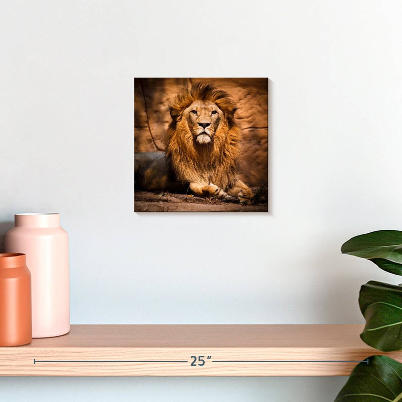 Crowle Safari Lion, H 10 po x l 10 po