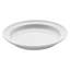 Ceramic Dinnerware White 9.69" Dinner Plate, Set of 4