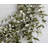 24" Spring Eucalyptus Front Door Wreath
