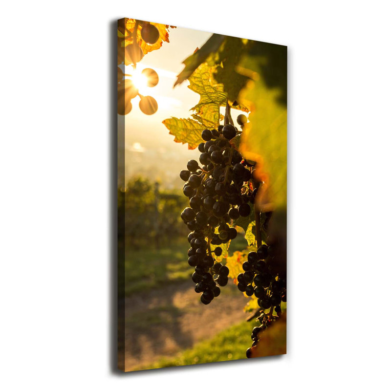 Vineyard - Wrapped Canvas Print