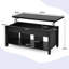 Lift Top Coffee Table with Storage