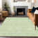 Premium Machine Washable Prisco Aloe Rug