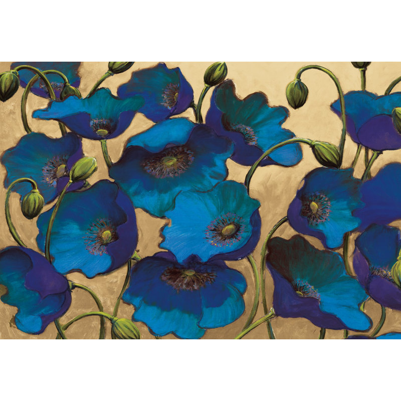 Poppies - Wrapped Canvas Art Prints, 30cm H x 46cm W x 3.8cm D