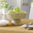 Beachcrest Home™ Everard Rattan Fruit Bowl-599211194