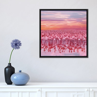 " Flamingo’s Sunset " by Hobopeeba