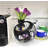 Coffee Bean Rack