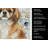 Tibetan Spaniel Coastal Sea Glass Kitchen Towel-871463531