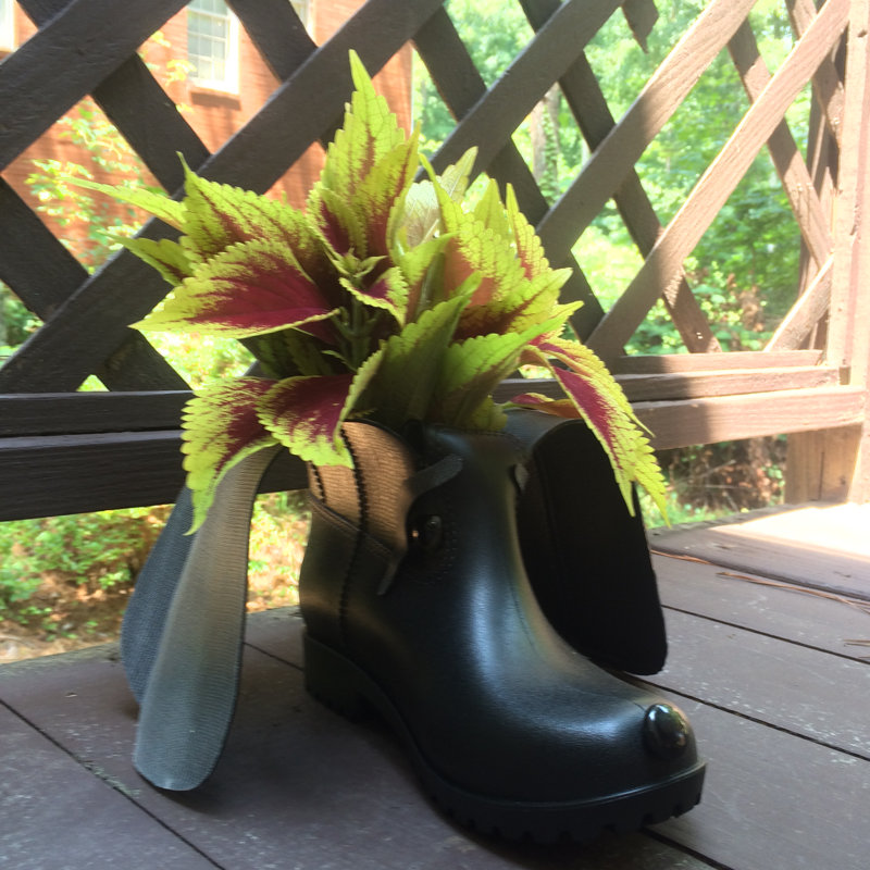Boot Buddies Charlie Dog Planter