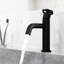 Robinet de salle de bain monocorps et monotrou H 8 po Ruxton-61764982