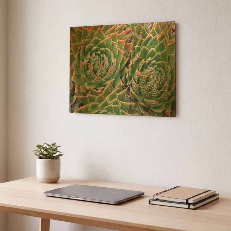 «Succulents» par Dennis Frates, art mural en métal, 16 po x 12 po, 16"x12"