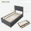 Lit plateforme tapissier avec lit gigogne et 3 tiroirs-861589855