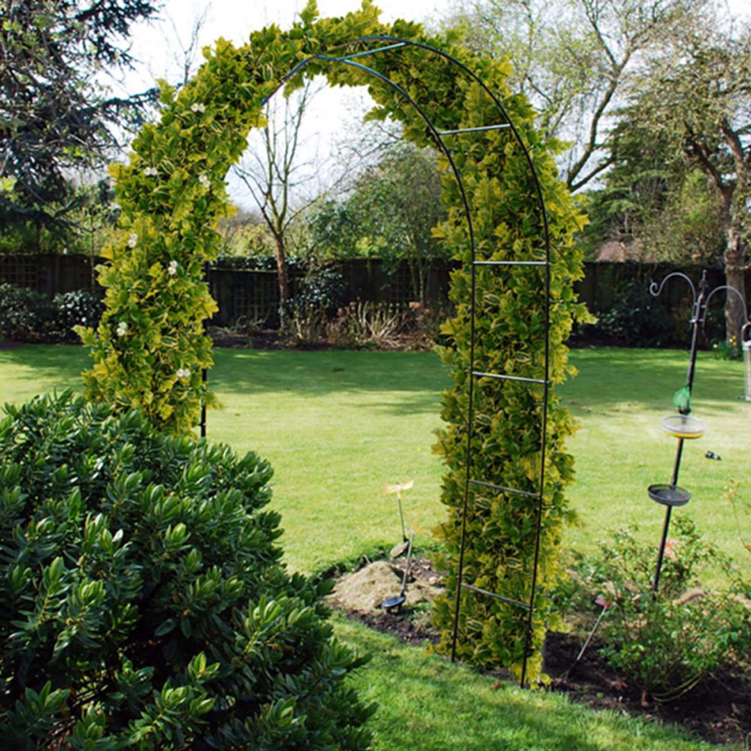 40cm W x 12.5cm D Steel Arbour in Black