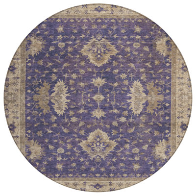 Machine Washable Indoor/Outdoor Xhevrie Purple Rug