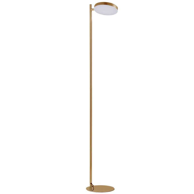 Patpong 60.5'' LED Task Floor Lamp, Aged Brass