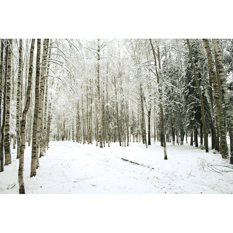 Une forêt enneigée par Vnosokin