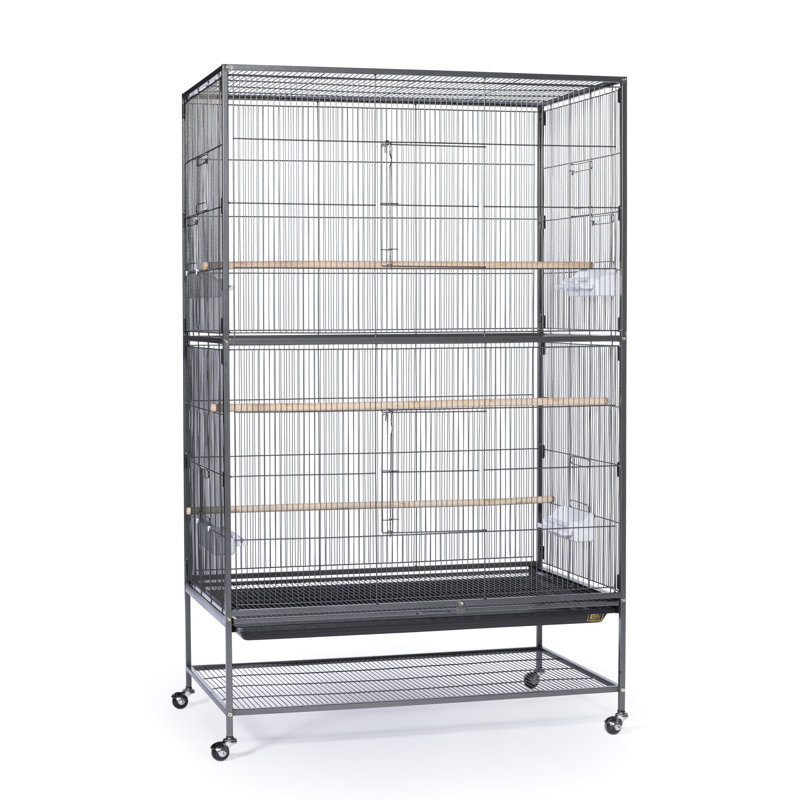 Cage à oiseau Elsie