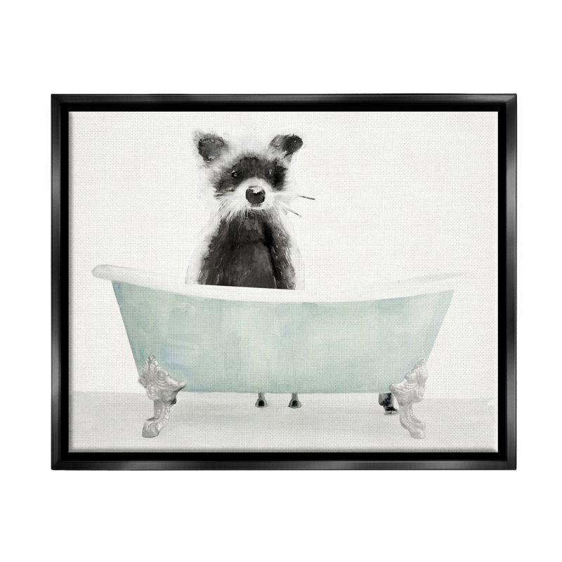 «Raccoon In A Tub», dessin amusant sur toile par Stellar Design Studio, Cadre flottant noir de jais