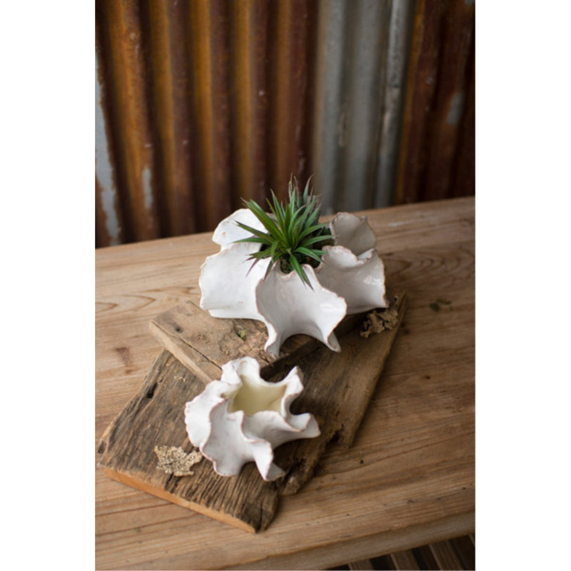 Molly White Ceramic Organic Pot Planter Set