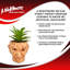 Plante grasse artificielle 6,5 "en pot