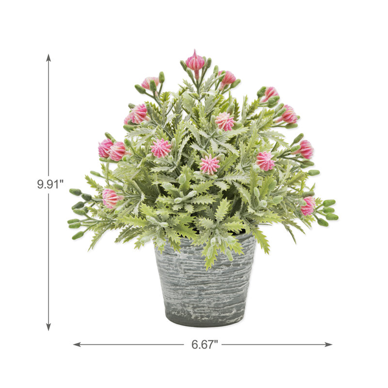 Delicate Fruit In Pot, Red