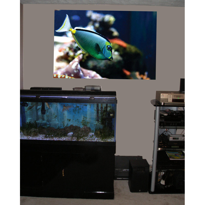 Adhésif décoratif Reef Tang, 16 po x 24 po