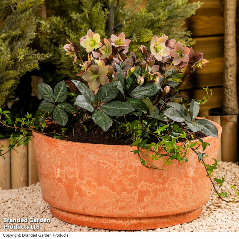 Pot Planter, Orange, 21cm H x 46cm W x 46cm D