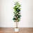 Artificial Fiddle Leaf Tree in Decorative White Planter-188350094
