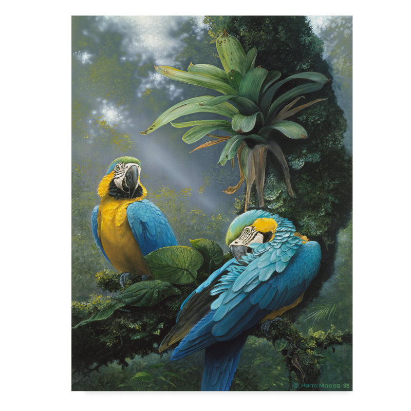 Blue and Yellow Macaws Gallery-Wrapped Canvas Art