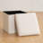 Folding Teddy Fleece Storage Ottoman With Storage-1562432016-1562432018