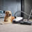 Miele Classic C1 Cat & Dog Canister Vacuum