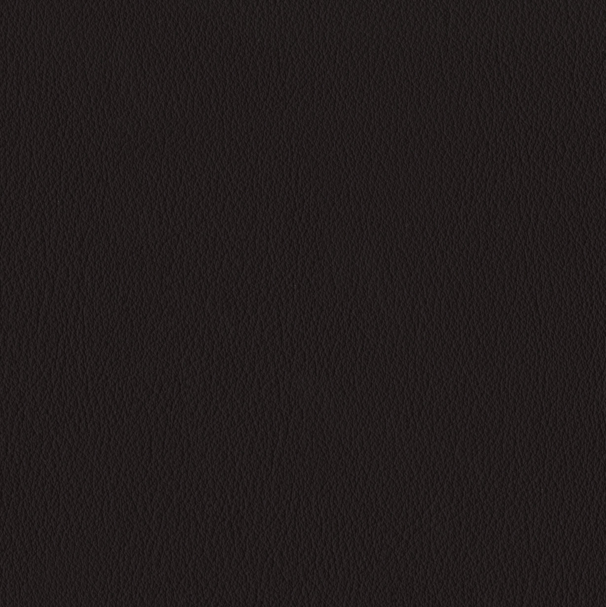 Elan Black Sample