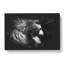 Majestic Lion Illustration - Wrapped Canvas-56648172