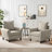 Danaysha 34.65" W Comfy Accent Armchair-436968351