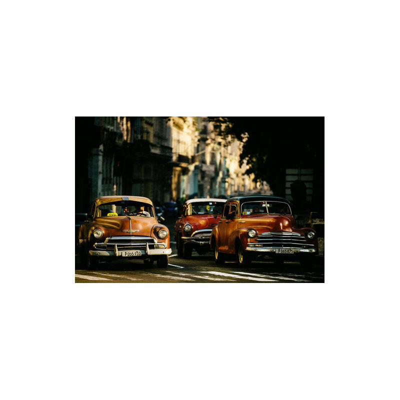 Wrapped Canvas Print, 50.8 cm H x 76.2 cm W