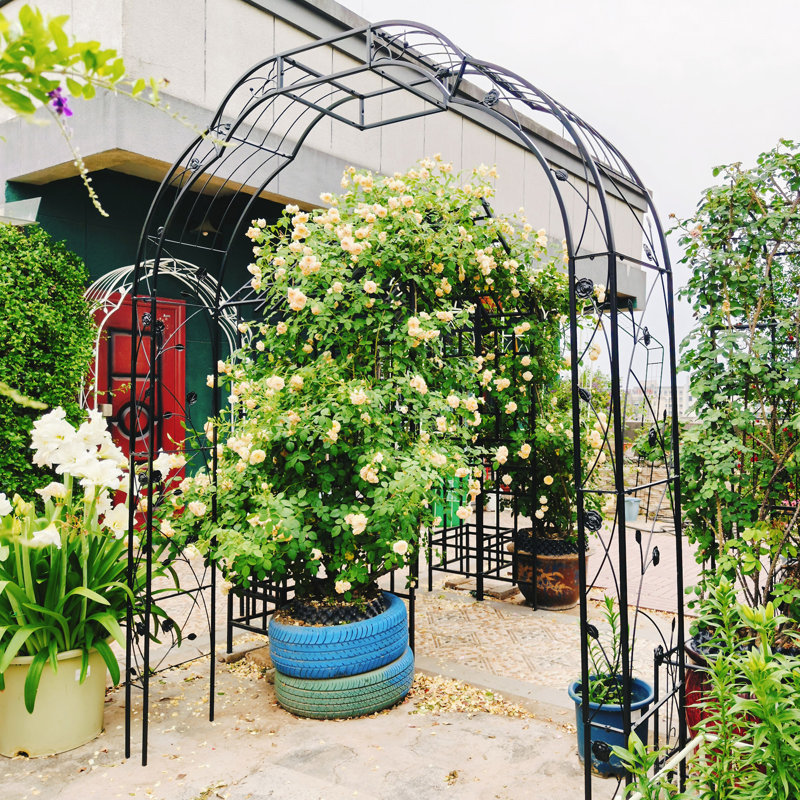 Jardin en métal arche de jardin l 74,4 po x H 98,4 po, Noir