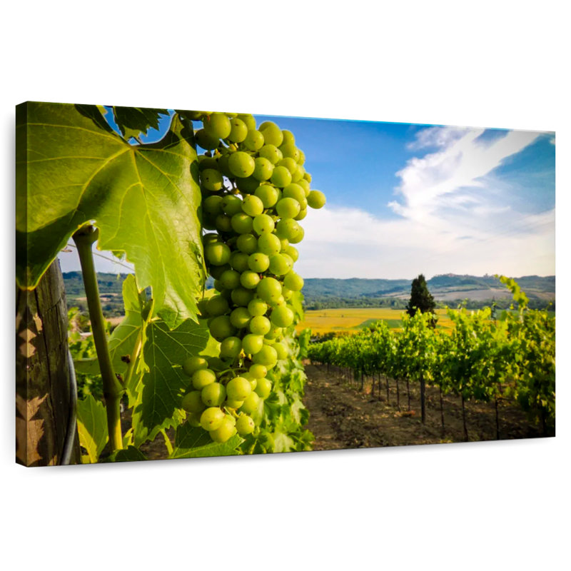 Yarlin Le Cour De Chateau I, 20" H x 30" W