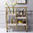 Serving Cart With 3 Adjustable Trays