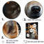 Chien Akita Aurora II sur toile-1058418649-1058418652
