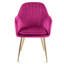 Taraji 46cm H Velvet Upholstered Metal Armchair-22261463-22261457
